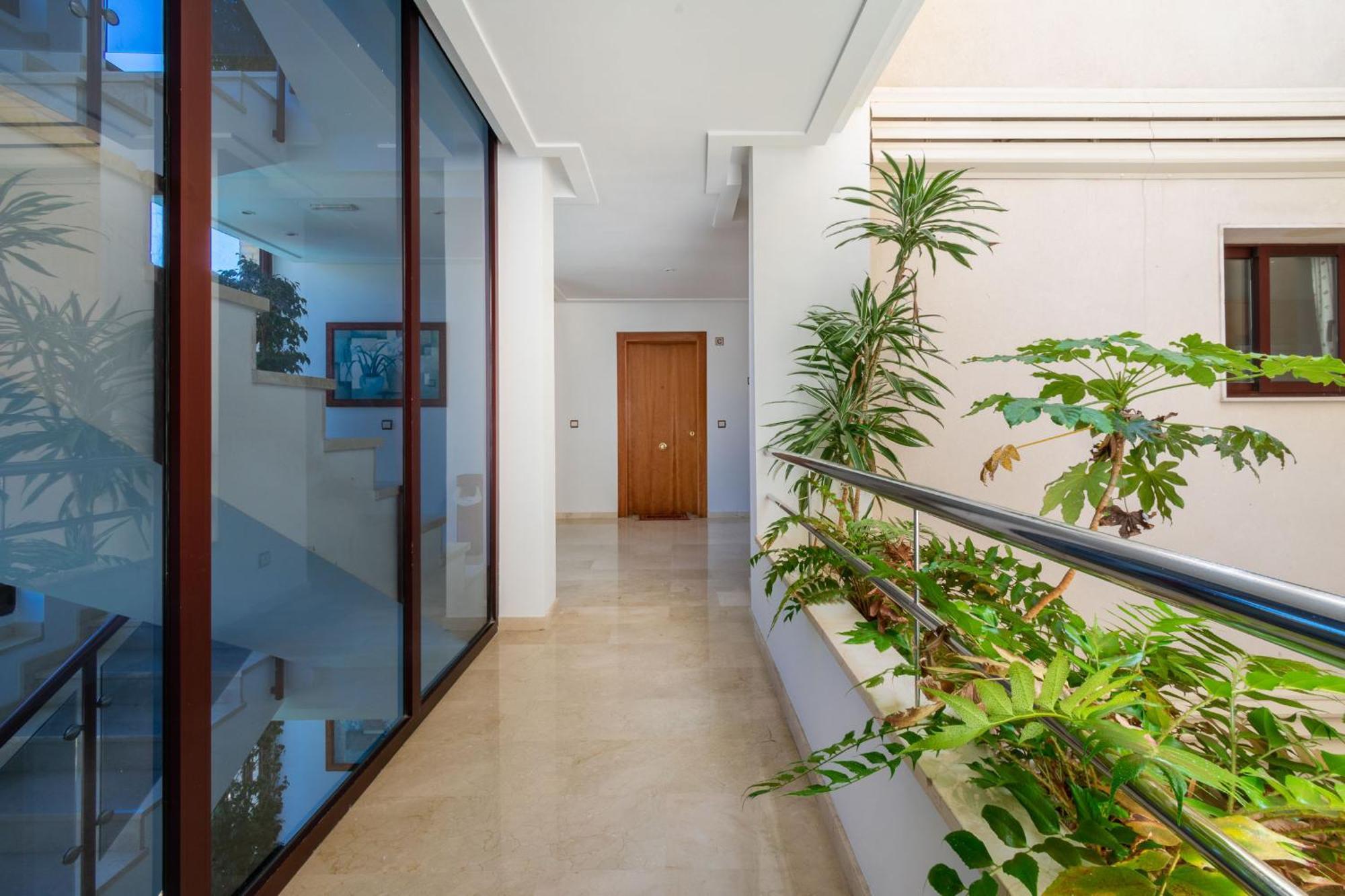Apartamentos Albir Confort - Avenida 1 Dorm El Albir Exterior foto